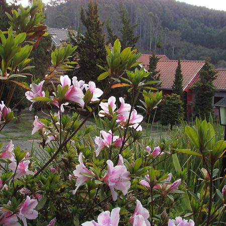 Pousada Flores Da Serra Монті-Верді Екстер'єр фото